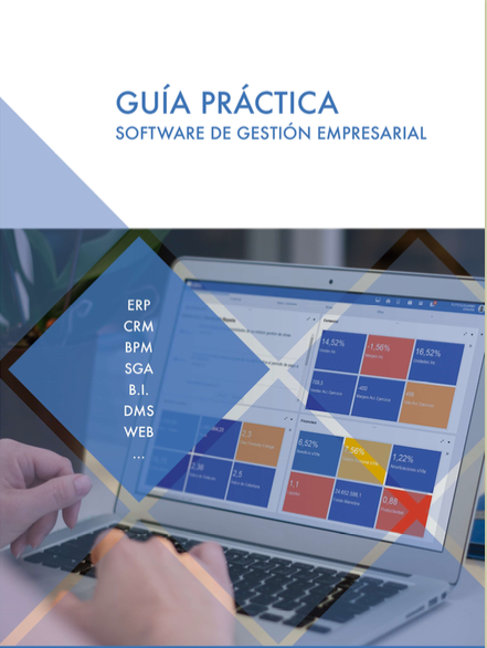Guía Práctica de Gestión de Software empresarial
