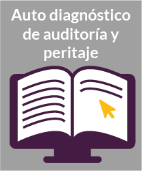 Auto diagnóstico de auditoría – Revisión del ERP