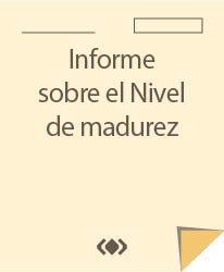 Informe sobre el Nivel de madurez