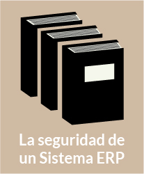 La seguridad de un Sistema ERP