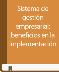 Sistema de gestión empresarial: beneficios en la implementación